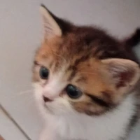 All ai trừ thì trừ