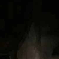 t/g