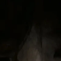 t/g