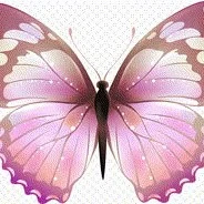 bươm bướm(hahami)