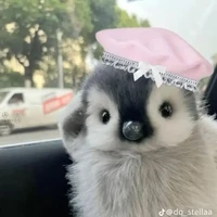 T/g