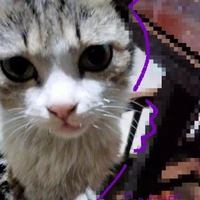 tác giả Kalty đẹp gái