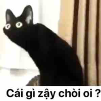 Ông thầy
