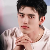 Trần Phi Vũ(hổ dữ)