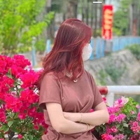 fan hồng hiếu