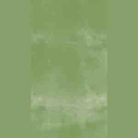 Nô tỳ( Hạ Băng)