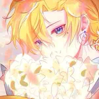 United States of America/USA-America