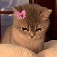 t/g