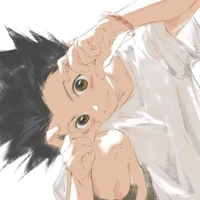 Gon Freecss