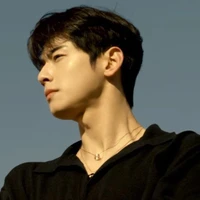 Cha Eun Woo