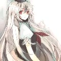 Sakura Yuki-Rose