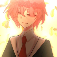 TT hiha