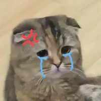 NVP chấp tất cả nghề✨