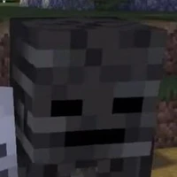 wither<hồi nhỏ>