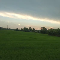 Mọi người