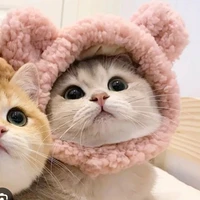 Louise _hệ thống