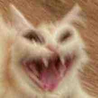 Nius🪼✨/t/g chính 