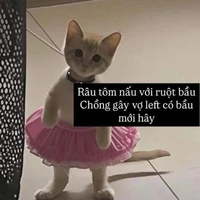 tác giả
