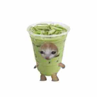 Tác giả đu sae
