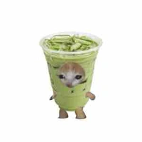 Tác giả đu sae