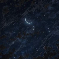 America + Việt Nam