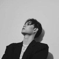 dương domic