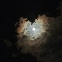 Lũ ngu cùng lớp (-ko có mặt)