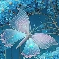 sutoko-pet của hoshinoko