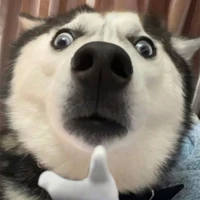 Chém Chép To Đùng🥰