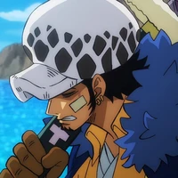 Law