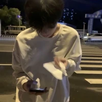 Vũ Việt Anh
