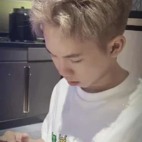 Hữu Đạt ( Phoenix )