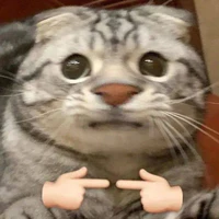 mèo mập ú 