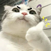 t/g
