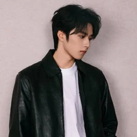 Lưu Diệu Văn ( anh)