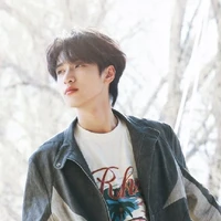 Nghiêm Hạo Tường