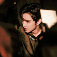 Lưu Diệu Văn_Anh