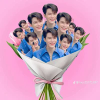 anh tú(atus)