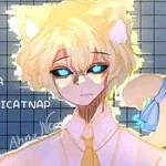 Hiha Anti Catnap