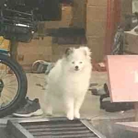  cân mọi nhân vật