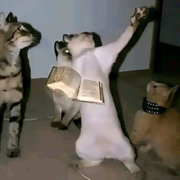 đức quốc xã :))