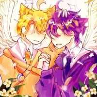 catnap và anti catnap