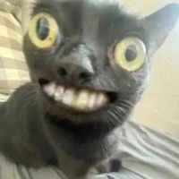 ???