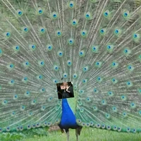 (*•̀ᴗ•́*)و ̑̑