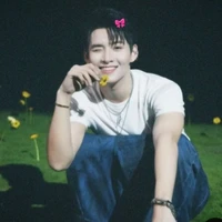 Hoàng Hùng(Gemini)