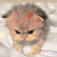 All