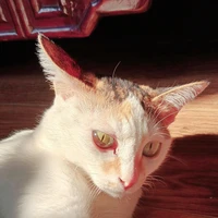 T/g xam lol nèk🥰👉👈