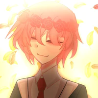 TT Hiha