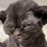 all ( trừ ai thì trừ )