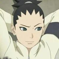 nara shikadai